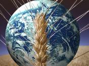 CINA ruolo nella crisi alimentare globale