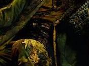 Nuovi dettagli coivolgimento segreto Kingsley Marvel