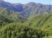 Parco Foreste Casentinesi