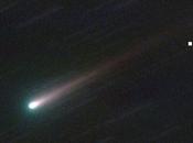 ISON: perplessità sulla Cometa Secolo