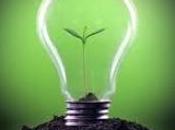 Free, efficienza energetica incentivi rinnovabili mature