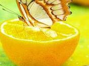 Butterfly summer