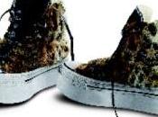 Siete pronte Jungla???? Converse Limited Edition