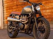 Bonnie Scram Cafe Twin