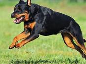 romanzo puntate breve mondo (45/52)