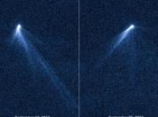 cometa asteroide?