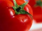 “pomì”doro della discordia…E