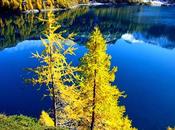 colori dell'autunno all'Alpe Devero.