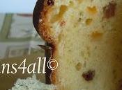 Prima prova pratica panettone lievitazione naturale,