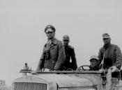 Rommel, volpe deserto