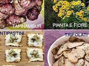 Topinambur Daikon cucina