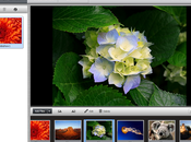 Wondershare Slideshow Builder Standard gratis: Creare splendide presentazioni vostre foto Windows