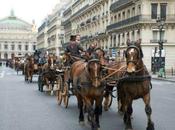 Defilé dans Paris: onore cavallo