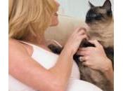 Gravidanza: animali Verità Toxoplasmosi veterinari