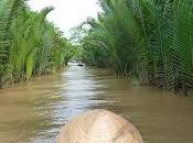 Vietnam: delta Mekong