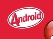 Adobe Flash Android KitKat soluzione vedere video