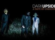 DarkUpside-Taste Unknown