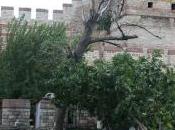 Turchia all’Unesco