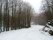 prima neve miei monti