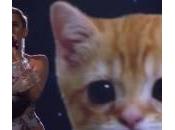 Miley Cyrus agli 2013 canta compagnia gatto (Video)