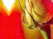 Sostanza miei risvegli