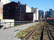High Line: passeggiata Chelsea Greenwich Village