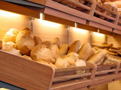 Istat: delle micro-imprese assume nonostante crisi”