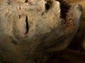 Nuove analisi effettuate sulla Mummia Tutankhamon potrebbero spiegare mistero della morte