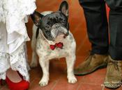 Magia Bianco Magazine winter 2013