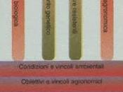 cos'è Lotta integrata