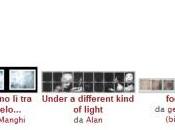 Foto della settimana