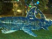 Calendario dell'avvento nuova catena blog