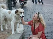 Turchia pregiudizi degli italiani (179)