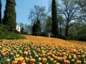 Parco giardino Sigurtà