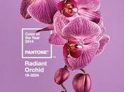 Pantone: colore dell'anno radiant orchid