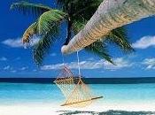 Network marketing