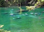 Grüner See, spettacolare lago verde