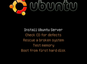 Installazione Ubuntu Server delle migliori soluzioni ambienti server attualmente disponibile..