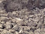 Orto gennaio: lavorazione terreno