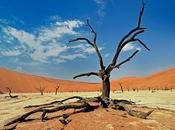 Somalia /Siccità persistente
