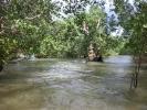 Pakistan, salvare mangrovie