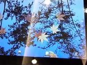 Toshiba presenta tablet Pollici