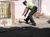 Foto giorno gennaio 2011 catturato piccione della droga