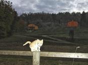 avvicina Santa Lucia