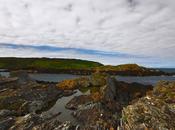 Calf Man, dove caproni hanno corna!