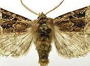 Proviamo parlare dell’Amicizia? Introduzione.