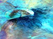 colori segreti crateri Vesta