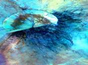 NASA Dawn: colori nascosti dell'asteroide Vesta