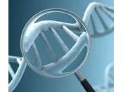 nuovo test genetico prevedere l’aggressività cancro alla prostata