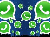 WhatsApp: popolare client messaggistica introduce molte novità Windows Phone